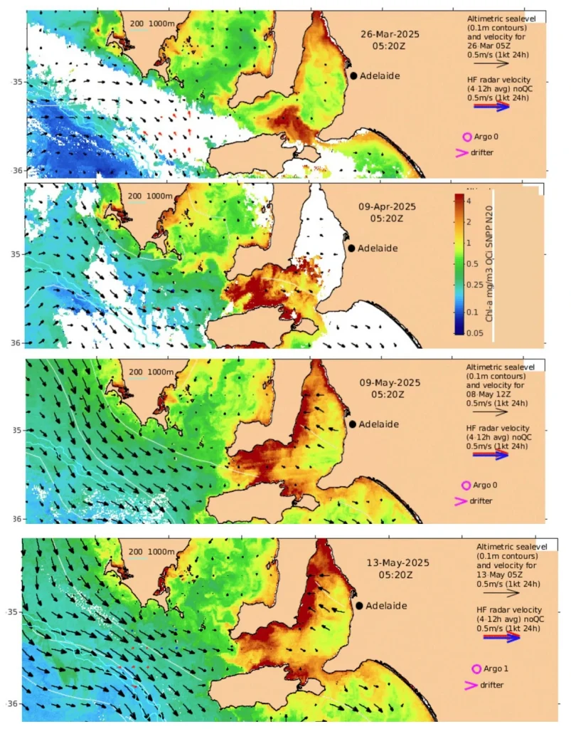 Chlorophyll-a concentration and ocean surface currents on 26th March, 9th April, 9 May and 13th May 2025 across South Australia, derived from satellite remote sensing and HF radar data. Data and imagery sourced from the Integrated Marine Observing System (IMOS).